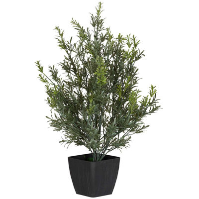 Picture of Rosemary Tree