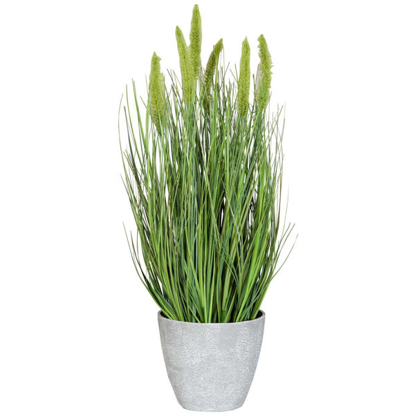 Picture of Foxtail in Melamine Pot