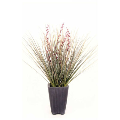 Picture of Onion Grass Mix In Square Terra Pot