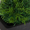 Picture of Grass Ball In Black Terra Pot