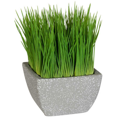 Picture of Malt Grass in Terracotta Pot