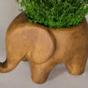 Picture of Grass In Elephant Vase