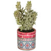 Picture of Succulent In Patterned Vase