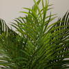 Picture of Ferns On Metal Stand