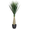 Picture of Sisal Tree With Pot