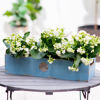 Picture of Wood Planter Blue