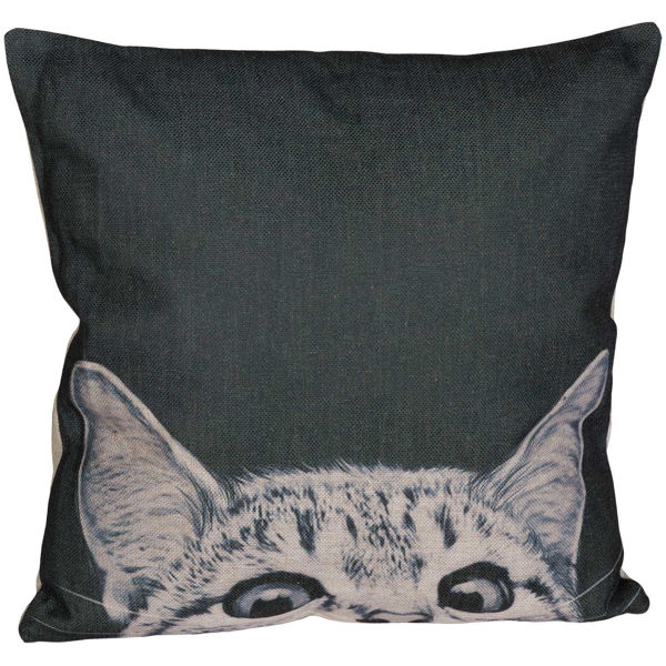 Picture of Here Kitty Kitty 18x18 Pillow *P