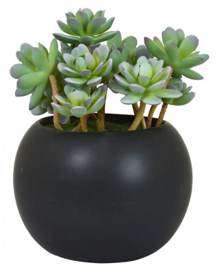 Picture of Faux Succulent In Black Pot
