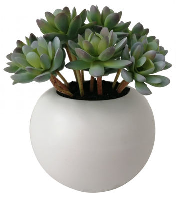 Picture of Faux Succulent In White Pot