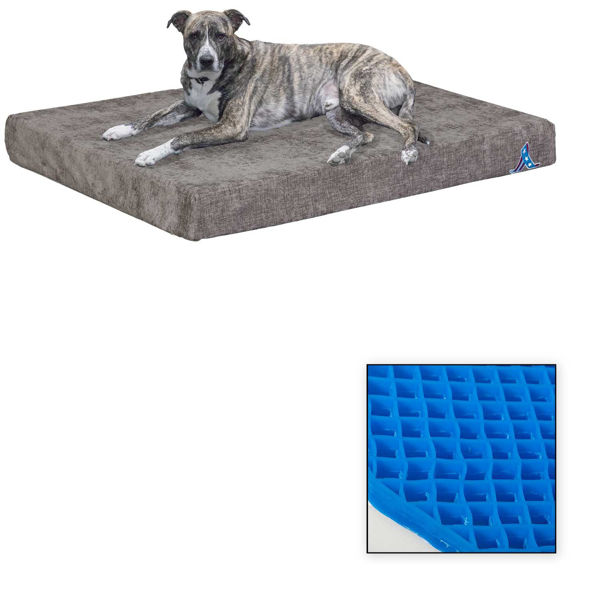 Picture of Grey Pet Bed with Royal Blue Gel
