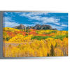 Picture of Autumn Colors At Kebler Pass 36x24 *D