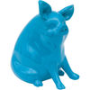 Picture of Aqua Pig