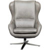 Picture of Modern Grey Swivel Chair