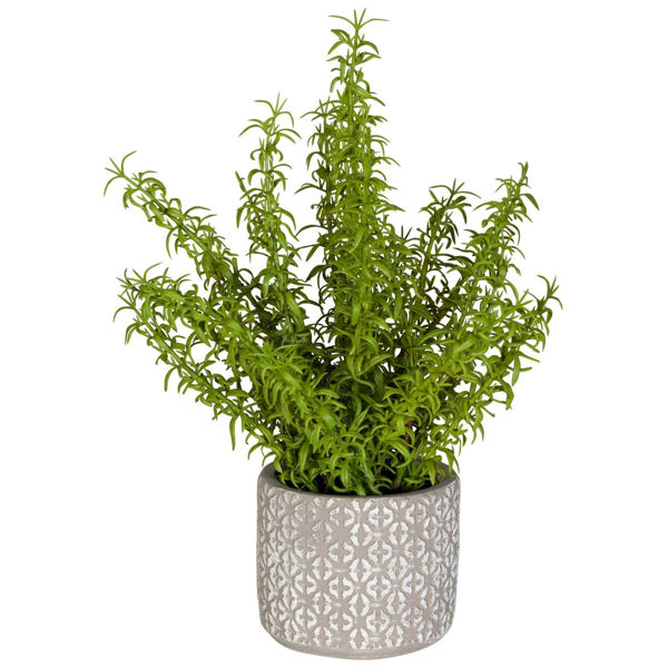Picture of Ferns In Round Container