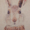 Picture of Peter Cotton Tail 18x18 Pillow *P