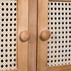 Picture of Four Door Light Wood Cabinet