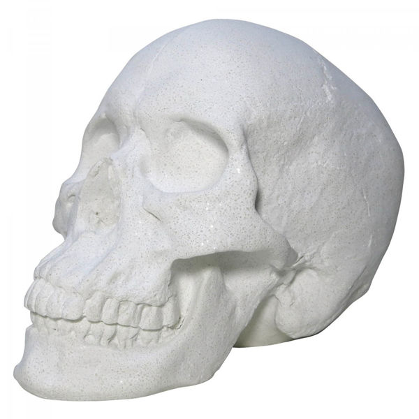 Picture of White Skull Table Top Décor