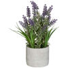 Picture of Lavender In Cement Round Planter