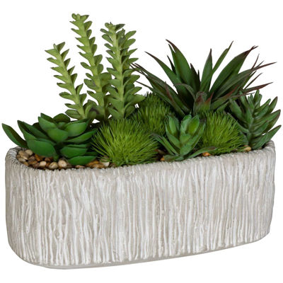 Picture of Succulents In Cement Planter