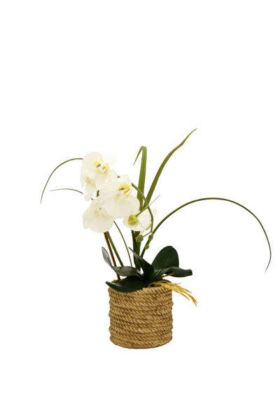 Picture of Faux Orchid