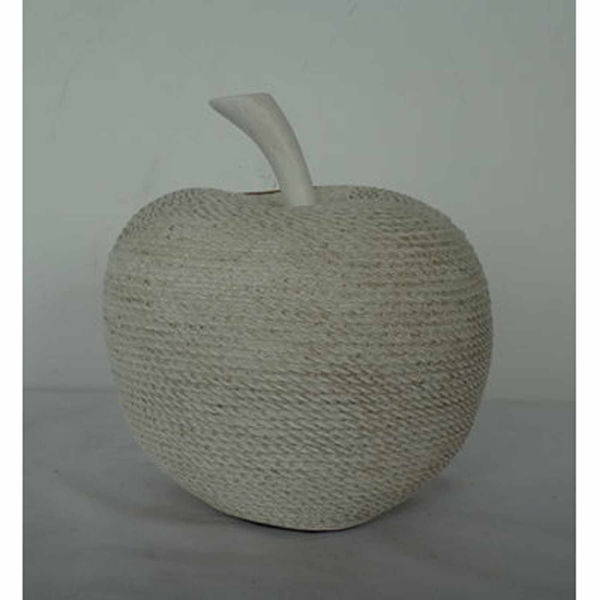 Picture of White Apple