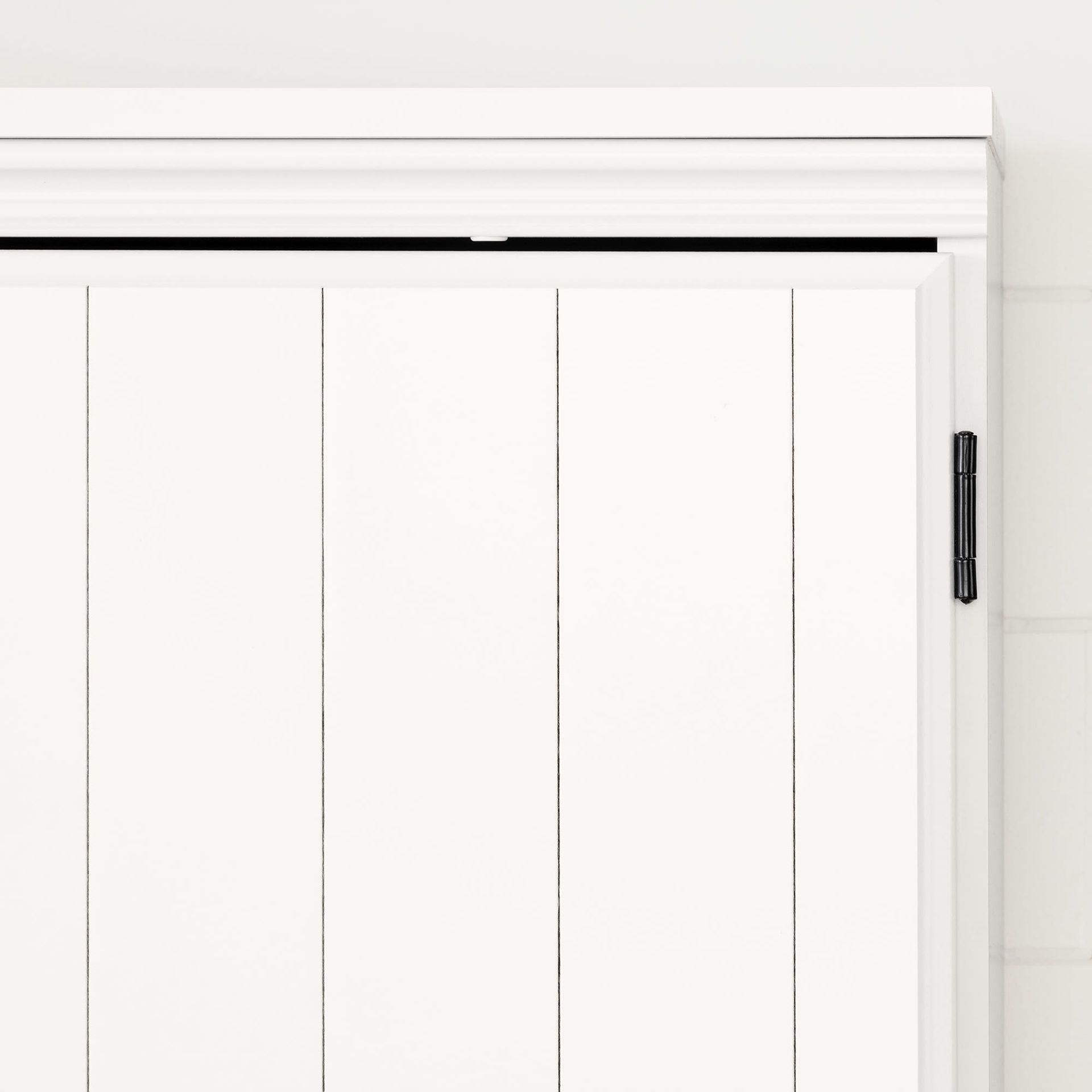 13243 - 2-DOOR STORAGE CABINET | AFW.com