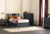 Picture of Ulysses - Twin Bookcase Headboard, Blueberry 