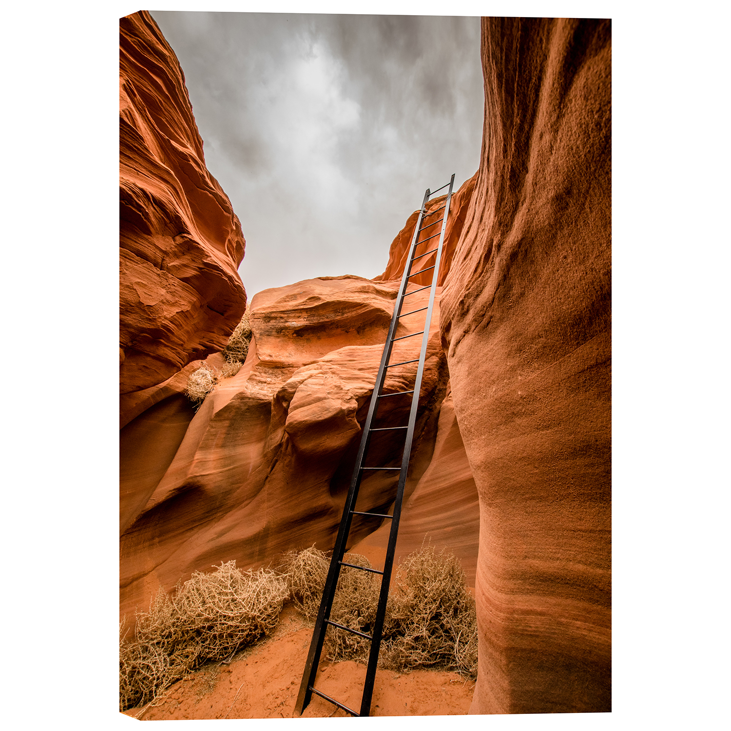 Stairway To The Desert | 125-BR40763 | Canvas Art | AFW.com