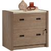 Picture of Dixon City Lateral File in Oak