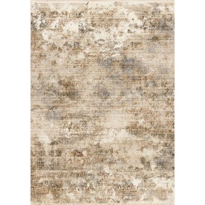 Picture of Serene Distressed 5 X 8 Rug