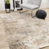 Picture of Serene Distressed 5 X 8 Rug