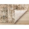 Picture of Serene Distressed 5 X 8 Rug