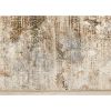 Picture of Serene Distressed 5 X 8 Rug