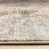 Picture of Serene Distressed 5 X 8 Rug