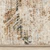 Picture of Serene Distressed 5 X 8 Rug