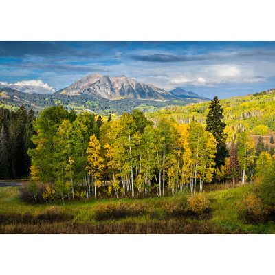 Picture of Autumn On Kebler Pass