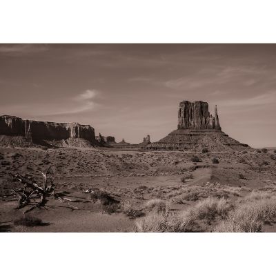 Picture of Monument Valley Landscape