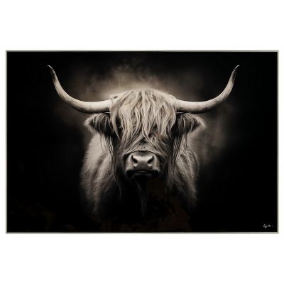 Picture of Highland Cow Dark Background