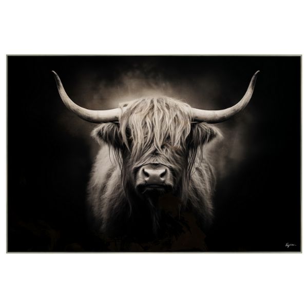 Picture of Highland Cow Dark Background