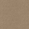 61004-BODY-A-SWATCH-500-scl-1-printres-300.jpg
