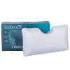 SEA-CARBON_3.png