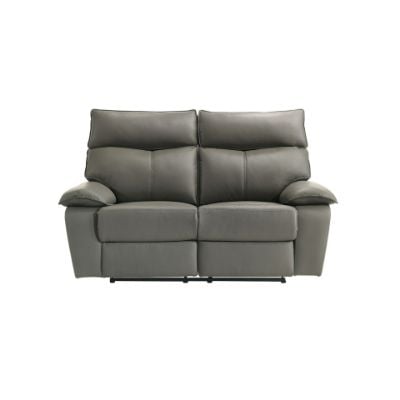 WildcatMotionLoveseatinAviarahGrey_Front.jpg