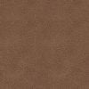 27704-BODY-A-SWATCH-500-scl-1-printres-300.jpg