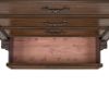 CadenzaChestinBrown_BottomDrawer.jpg