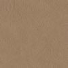 U66000-BODY-A-SWATCH-500.jpg